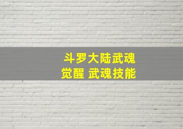 斗罗大陆武魂觉醒 武魂技能